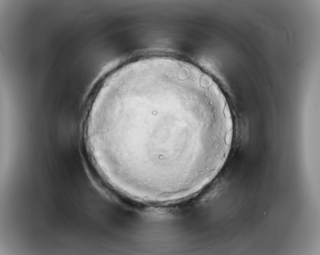 X0000083970534200703091805
