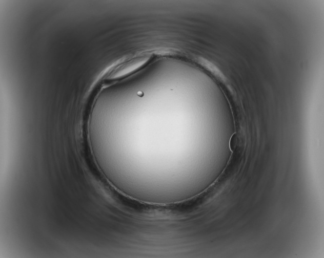 X0000083970535200703091805