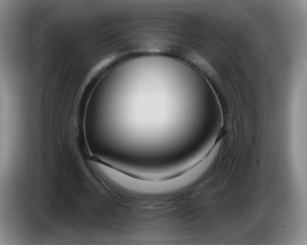 X0000083970536200703091805
