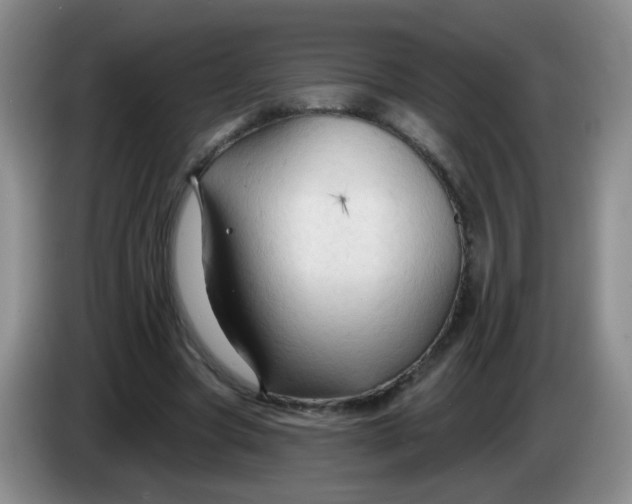 X0000083970537200703091805