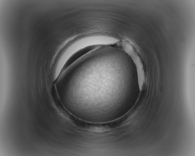 X0000083970540200703091805