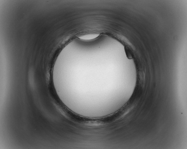 X0000083970541200703091805