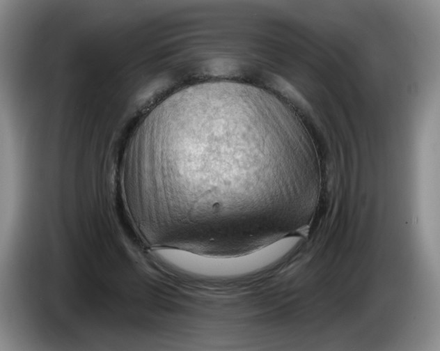 X0000083970542200703091805