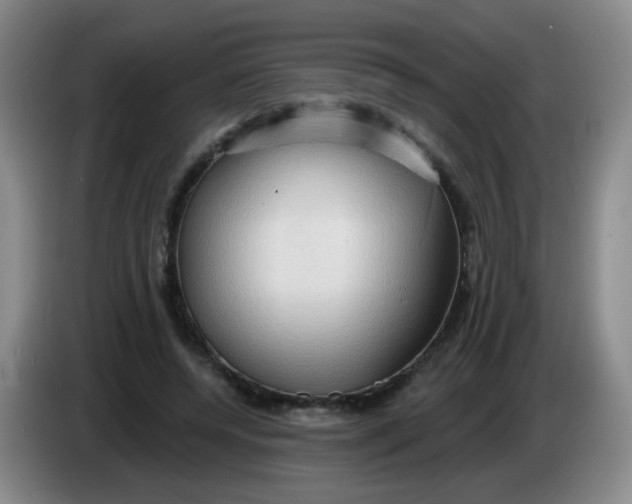 X0000083970544200703091805