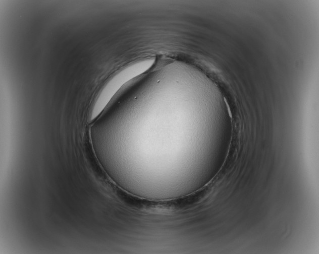 X0000083970546200703091805