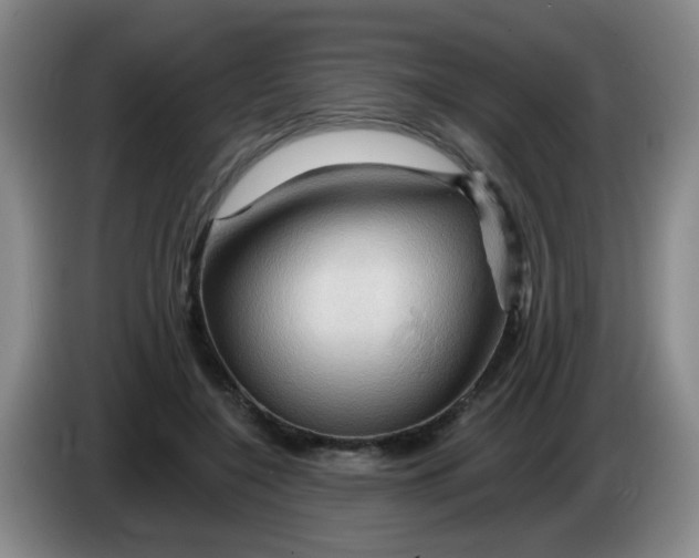 X0000083970548200703091805