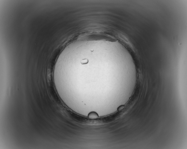 X0000083970549200703091805
