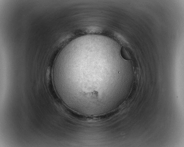 X0000083970550200703091805