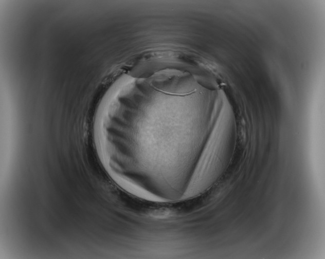 X0000083970551200703091805