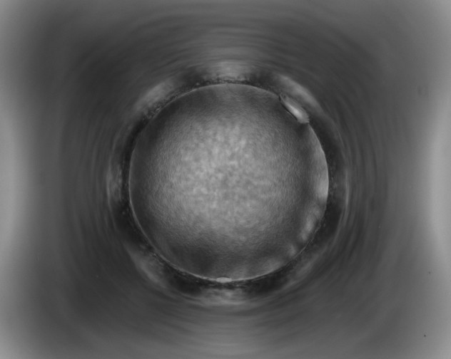 X0000083970552200703091805