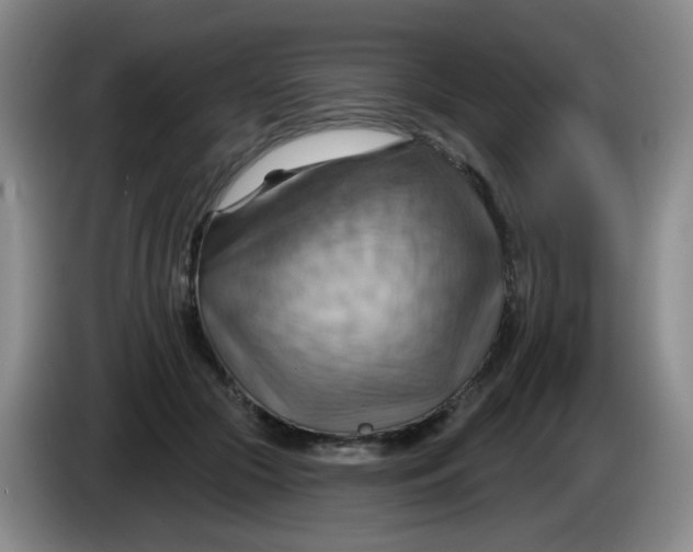X0000083970553200703091805