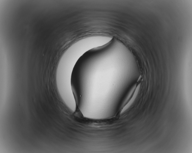 X0000083970556200703091805
