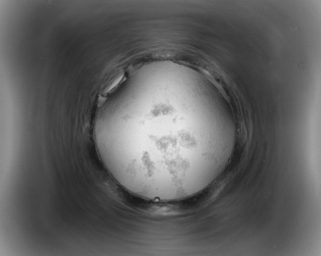 X0000083970557200703091805