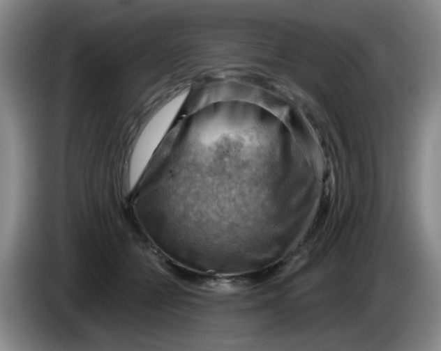 X0000083970558200703091805