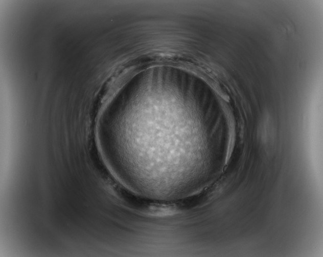 X0000083970559200703091805