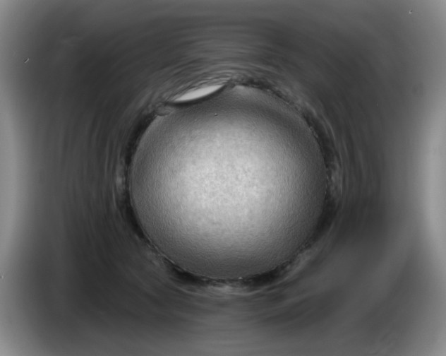 X0000083970561200703091805
