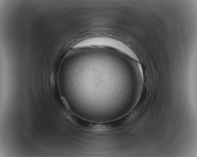 X0000083970562200703091805