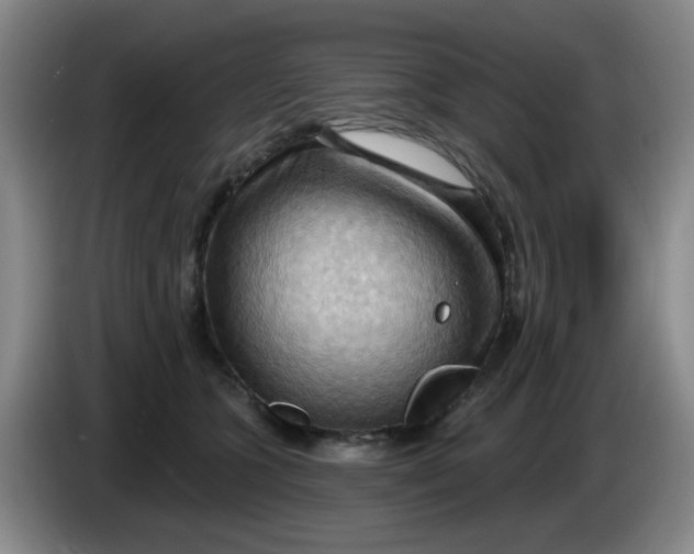 X0000083970563200703091805