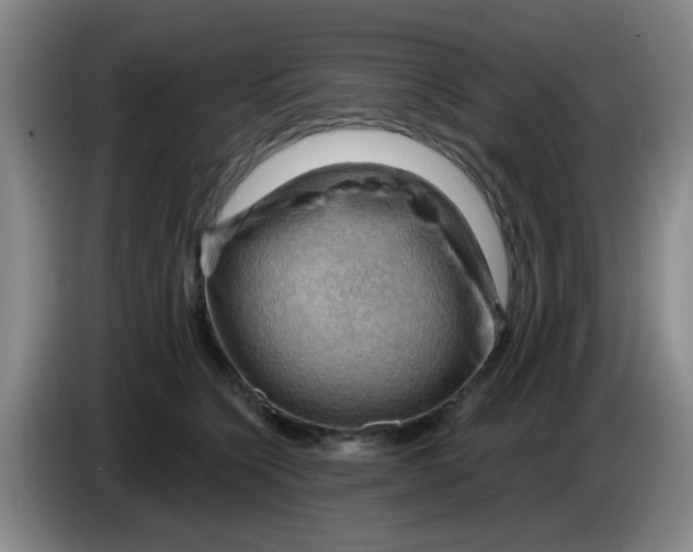 X0000083970564200703091805