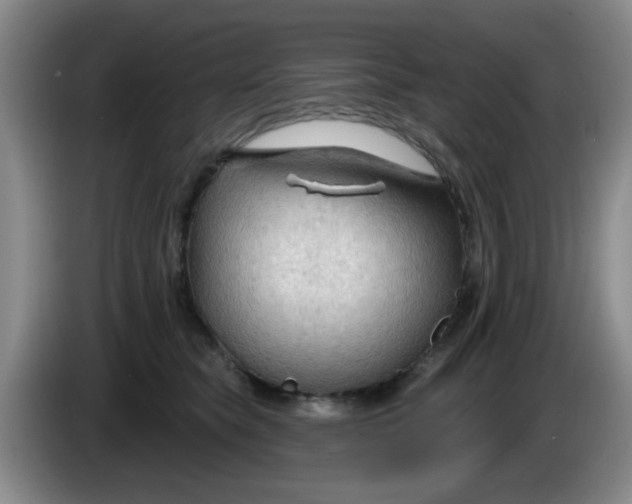 X0000083970565200703091805