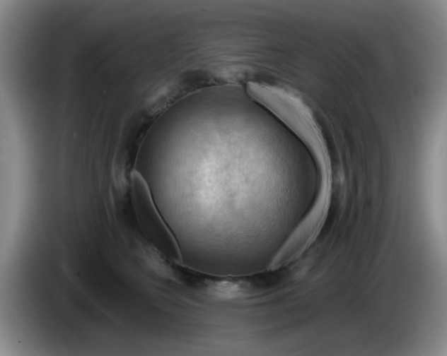 X0000083970566200703091805