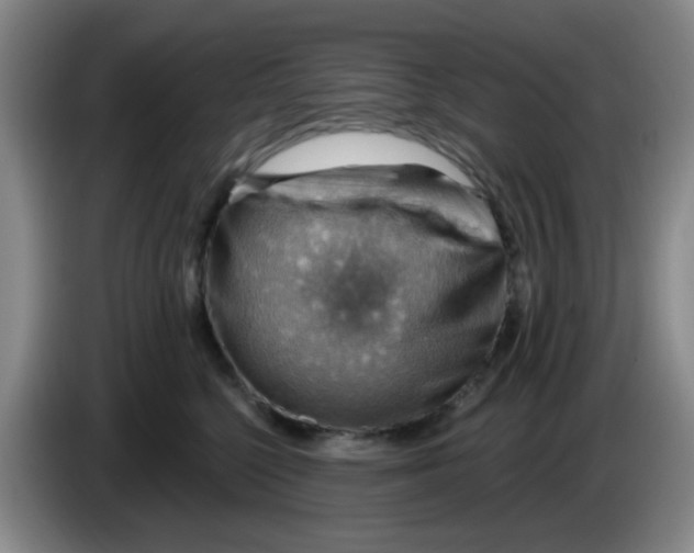 X0000083970568200703091805