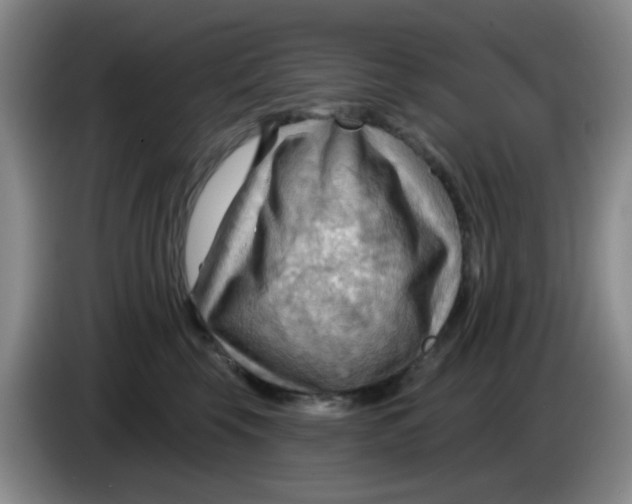 X0000083970569200703091805