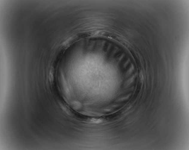 X0000083970570200703091805