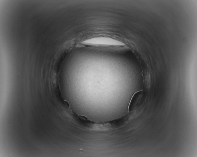 X0000083970571200703091805