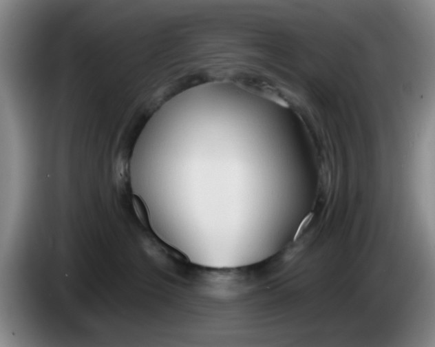 X0000083970574200703091805