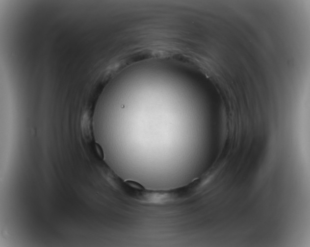X0000083970575200703091805