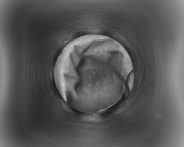 X0000083970576200703091805