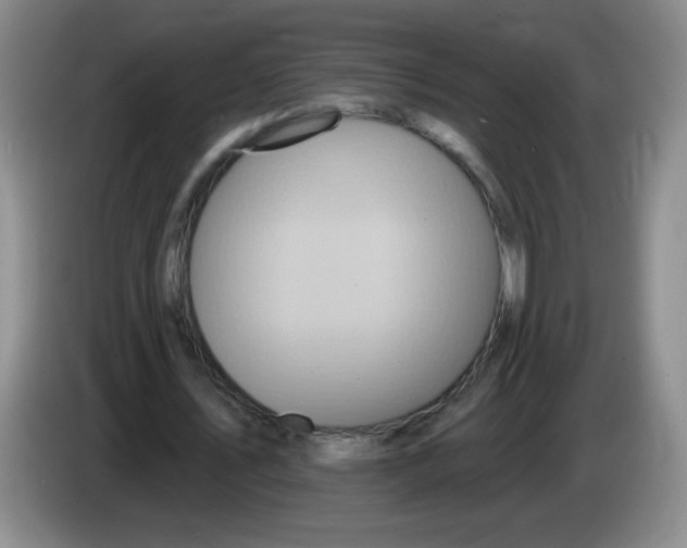 X0000083970579200703091805
