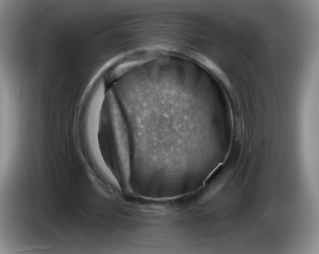 X0000083970580200703091805