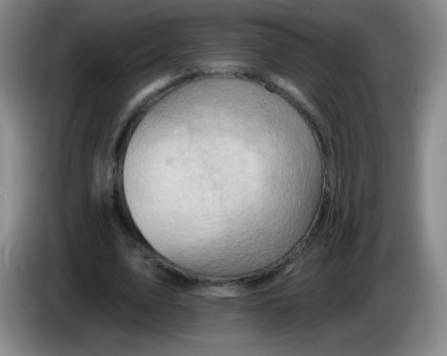 X0000083970583200703091805