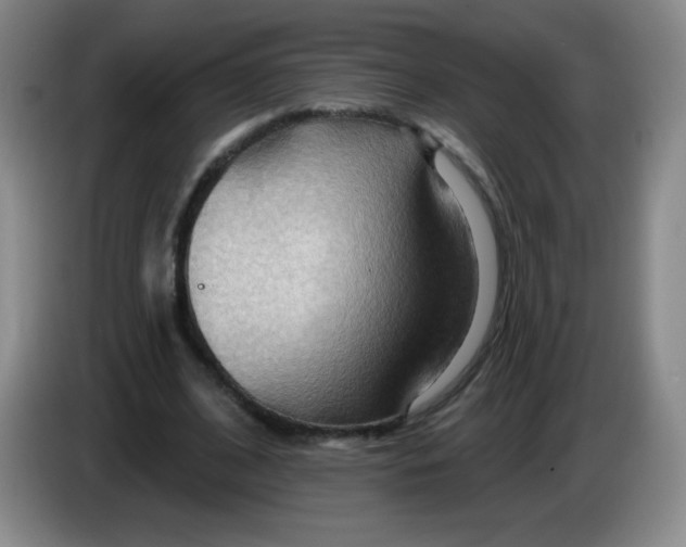 X0000083970584200703091805