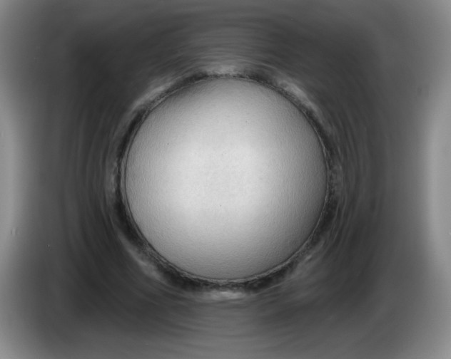 X0000083970586200703091804