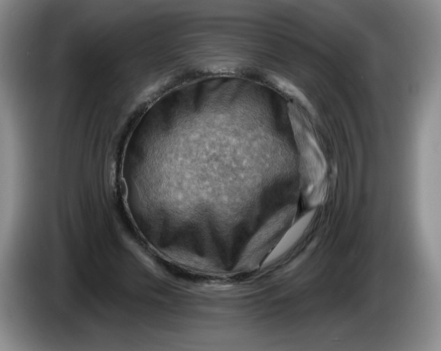 X0000083970589200703091804