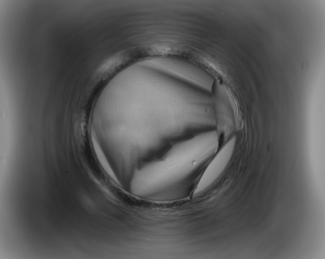 X0000083970590200703091804
