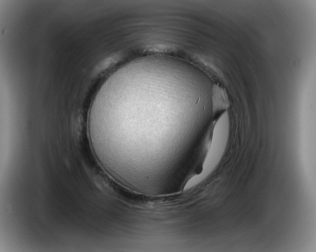 X0000083970591200703091804