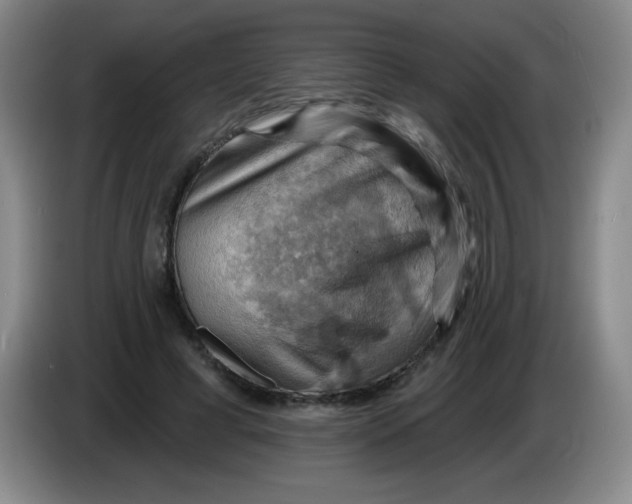 X0000083970593200703091804