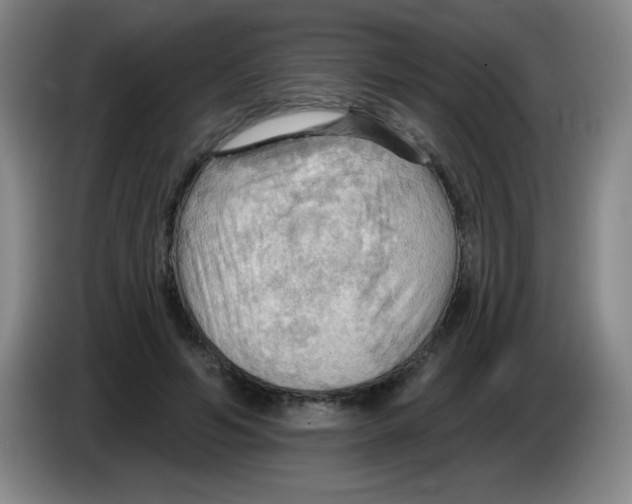 X0000083970594200703091804