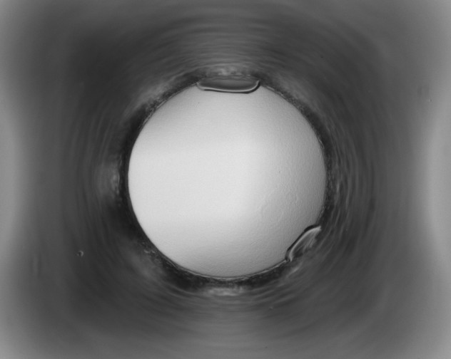 X0000083970595200703091804