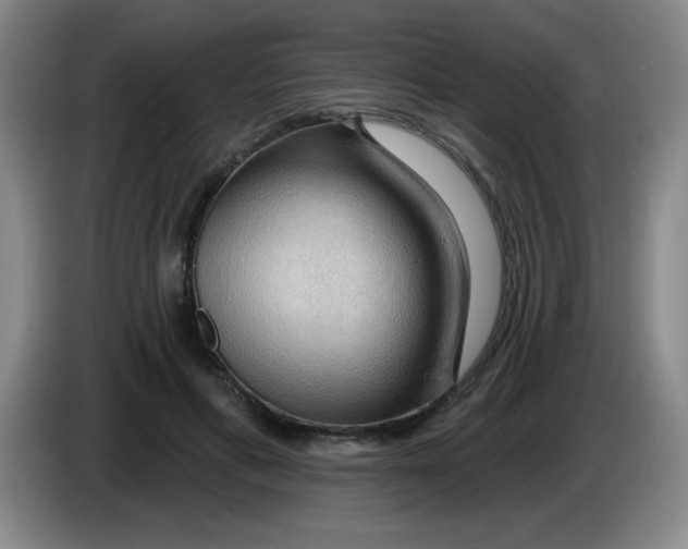 X0000083970597200703091804