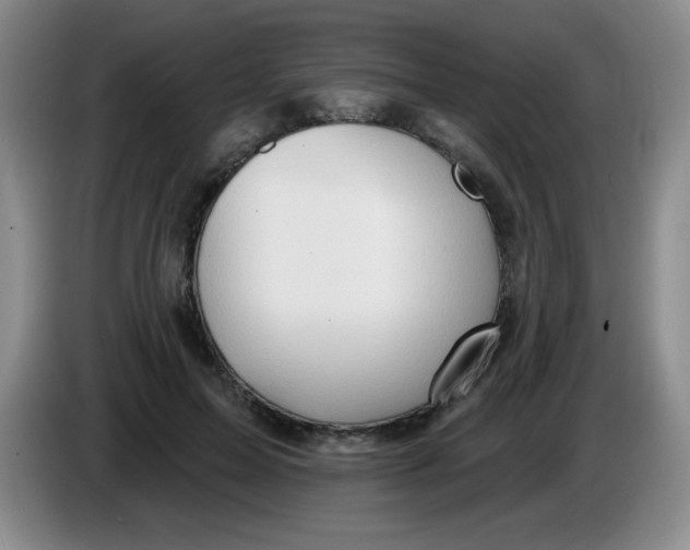 X0000083970599200703091804