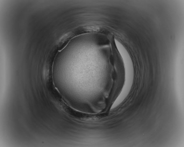X0000083970600200703091804