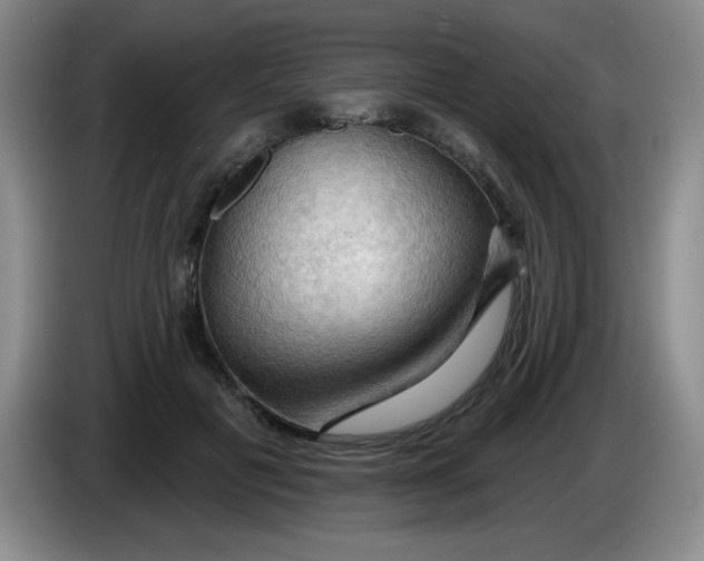 X0000083970601200703091804