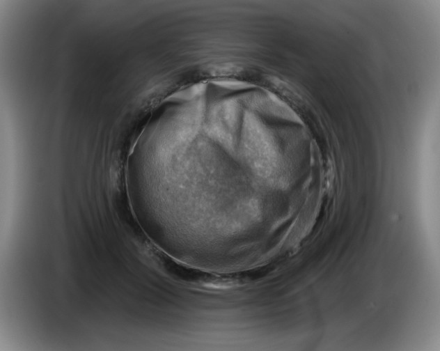 X0000083970604200703091804