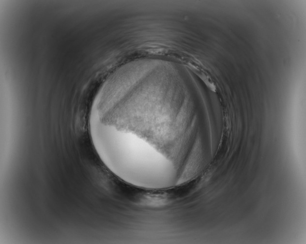 X0000083970606200703091804