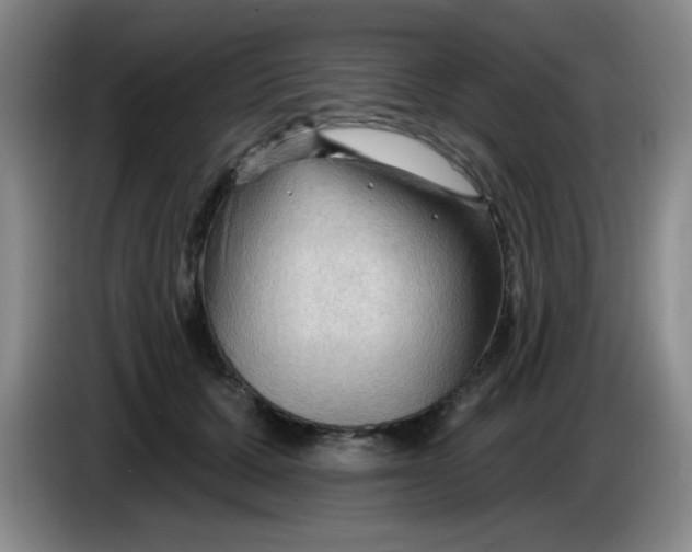 X0000083970607200703091804